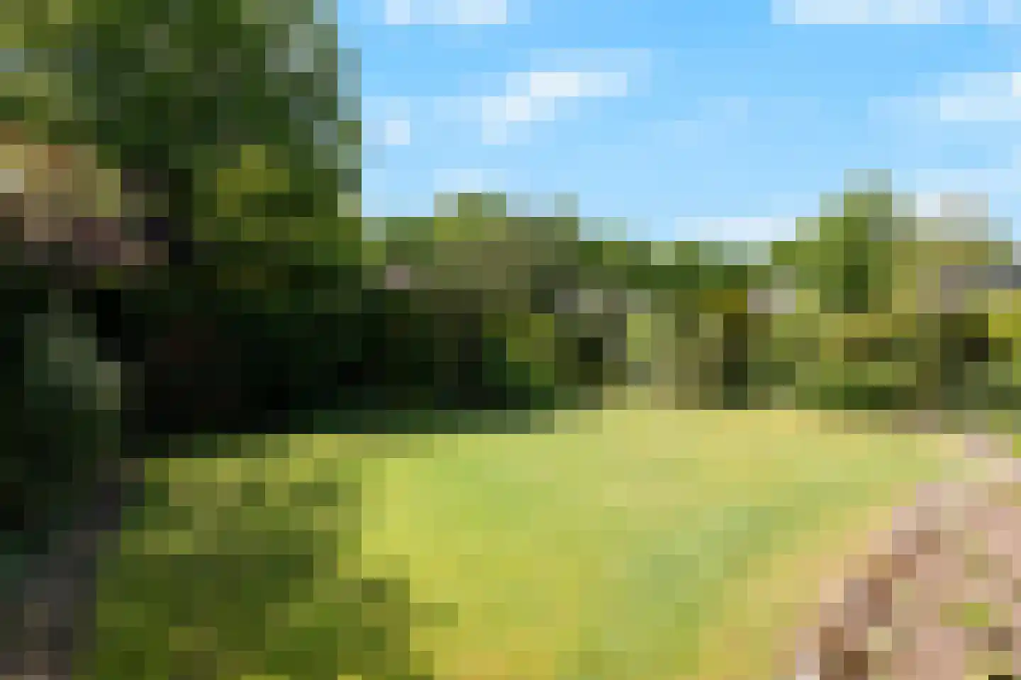 De Breide 69 Silvolde thumbnail 6