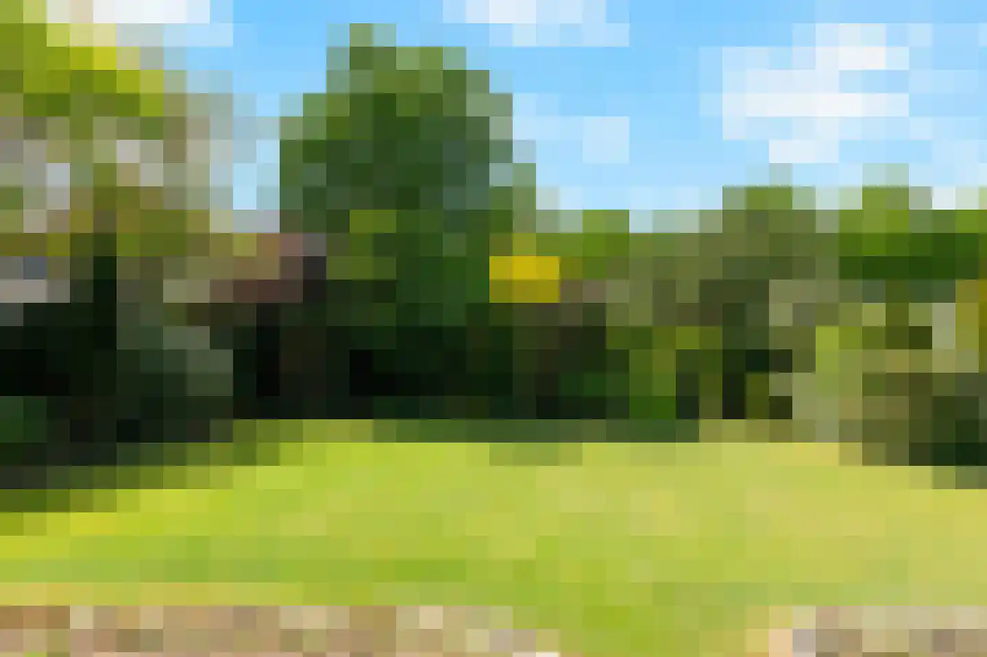De Breide 69 Silvolde thumbnail 7