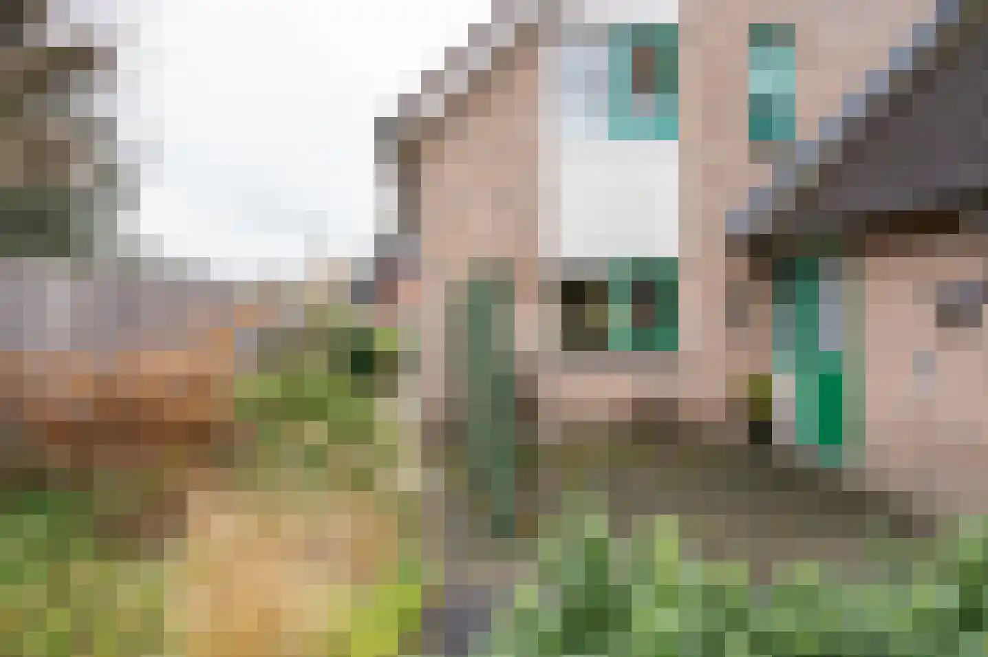 de Breide 8 Zelhem thumbnail 38