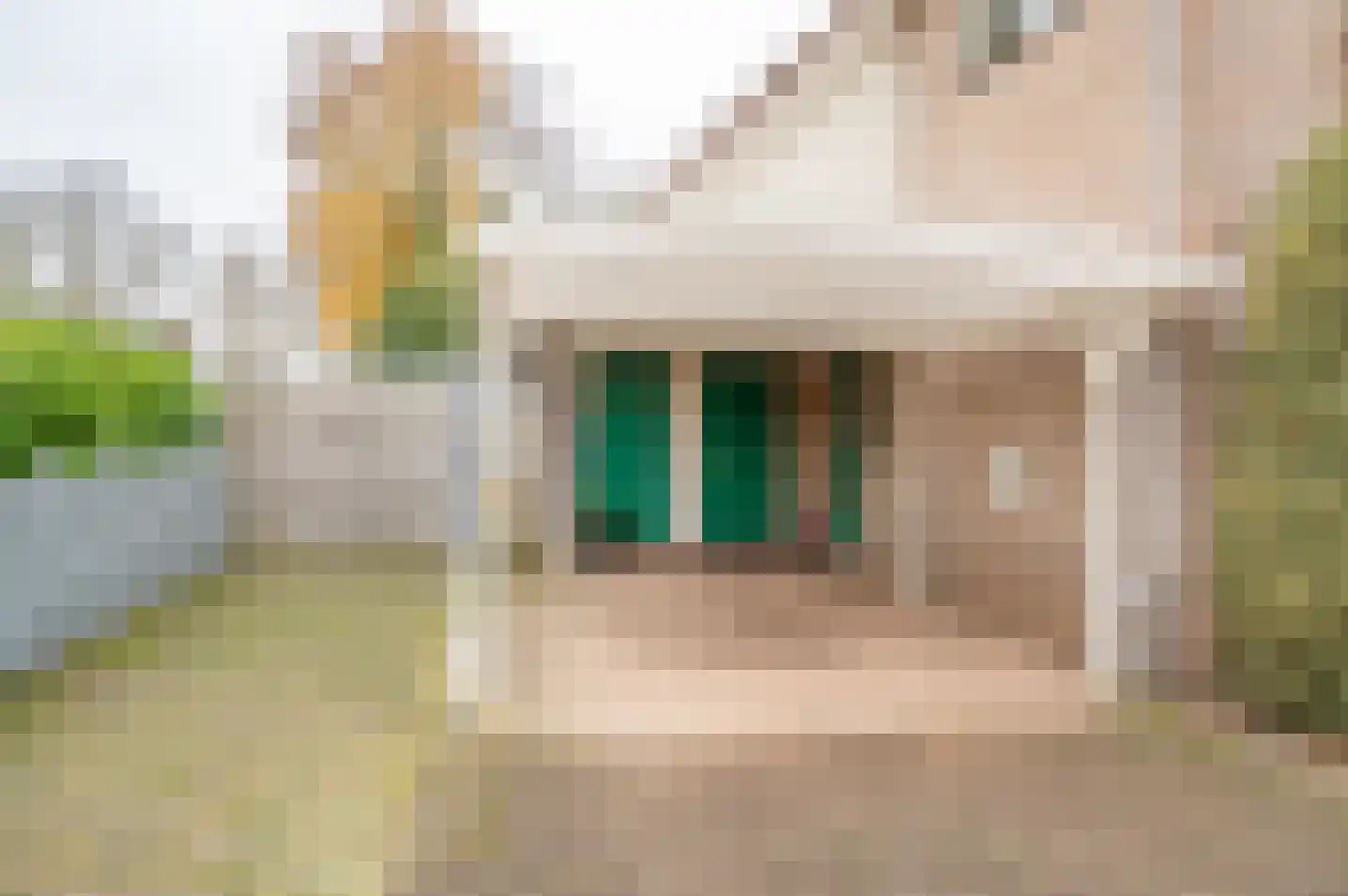 de Breide 8 Zelhem thumbnail 6