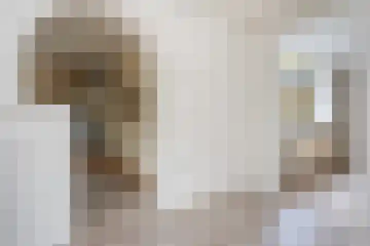 De Breistroeken 13 Nieuw-Balinge thumbnail 11
