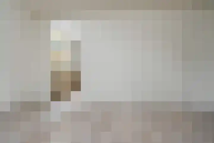 De Breistroeken 13 Nieuw-Balinge thumbnail 12