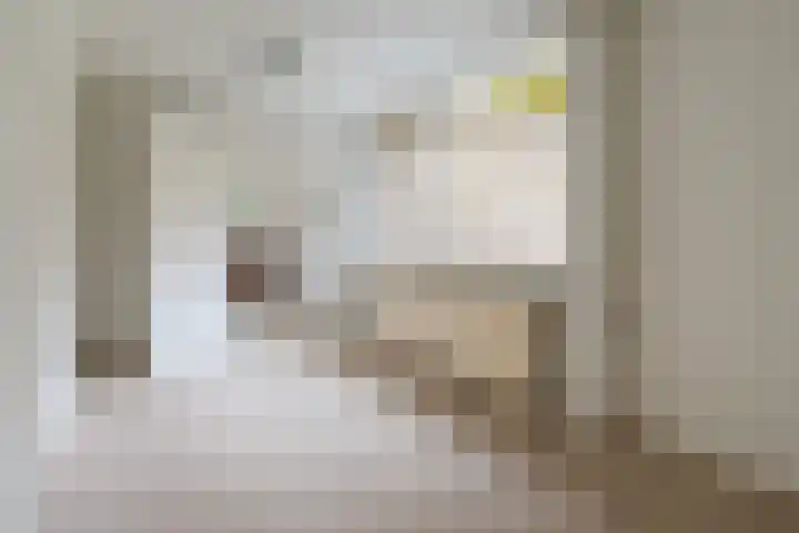 De Breistroeken 13 Nieuw-Balinge thumbnail 13
