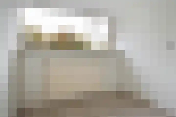 De Breistroeken 13 Nieuw-Balinge thumbnail 16