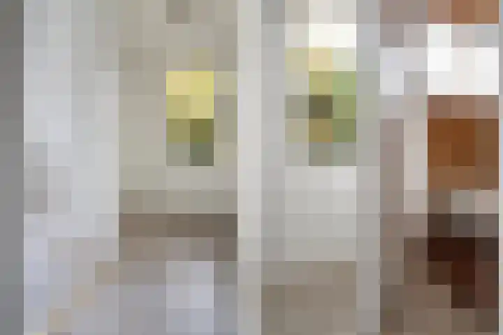 De Breistroeken 13 Nieuw-Balinge thumbnail 17