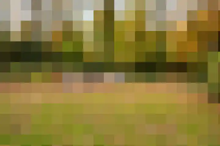 De Breistroeken 13 Nieuw-Balinge thumbnail 20