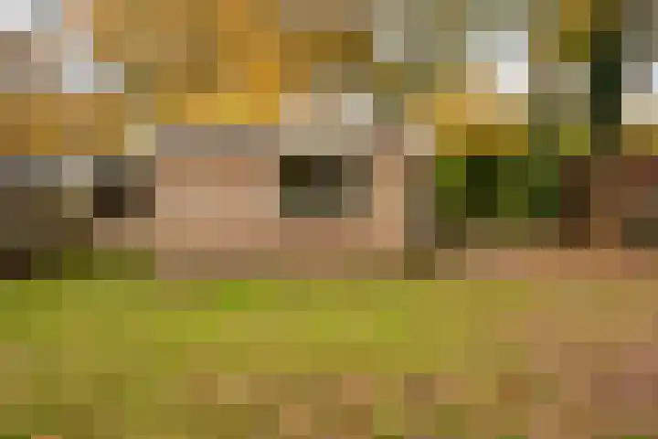 De Breistroeken 13 Nieuw-Balinge thumbnail 22