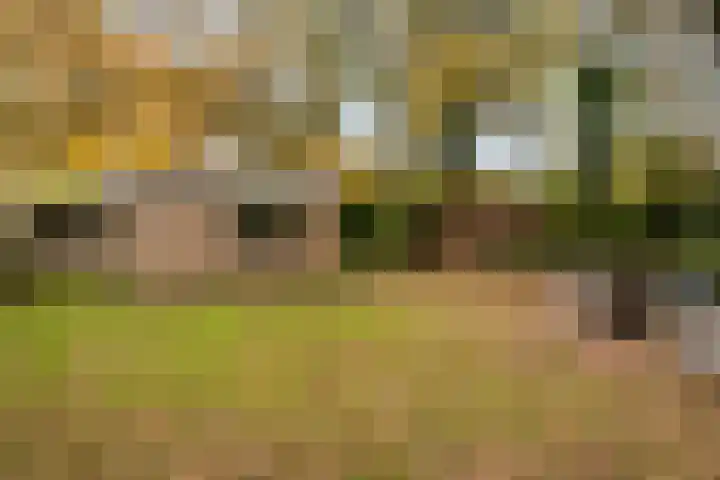 De Breistroeken 13 Nieuw-Balinge thumbnail 23