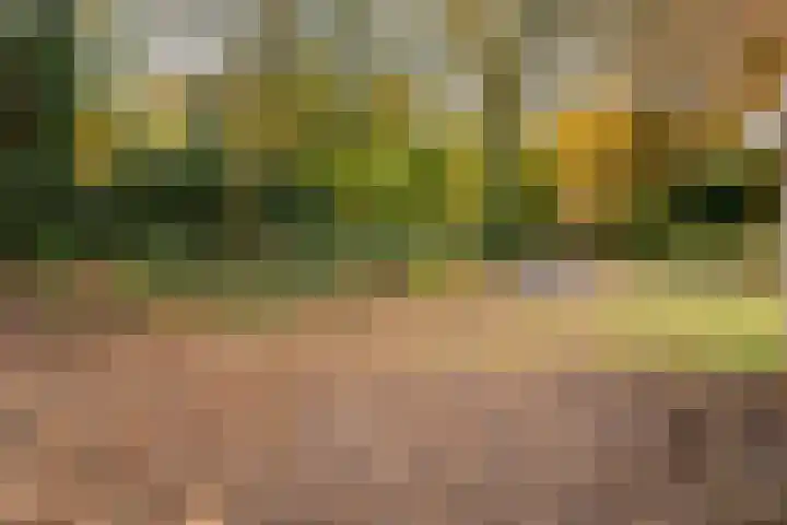 De Breistroeken 13 Nieuw-Balinge thumbnail 24