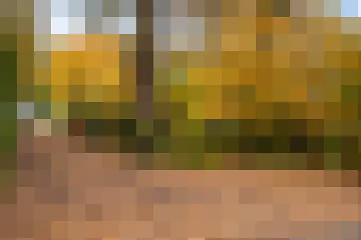 De Breistroeken 13 Nieuw-Balinge thumbnail 25