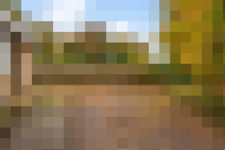 De Breistroeken 13 Nieuw-Balinge thumbnail 26