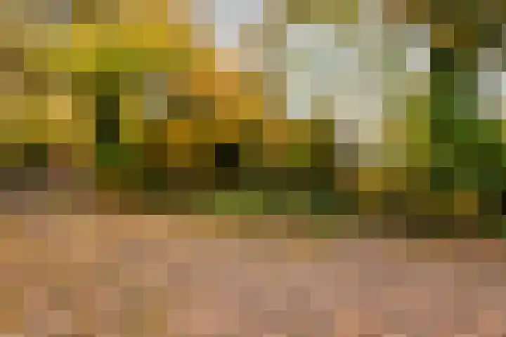De Breistroeken 13 Nieuw-Balinge thumbnail 27