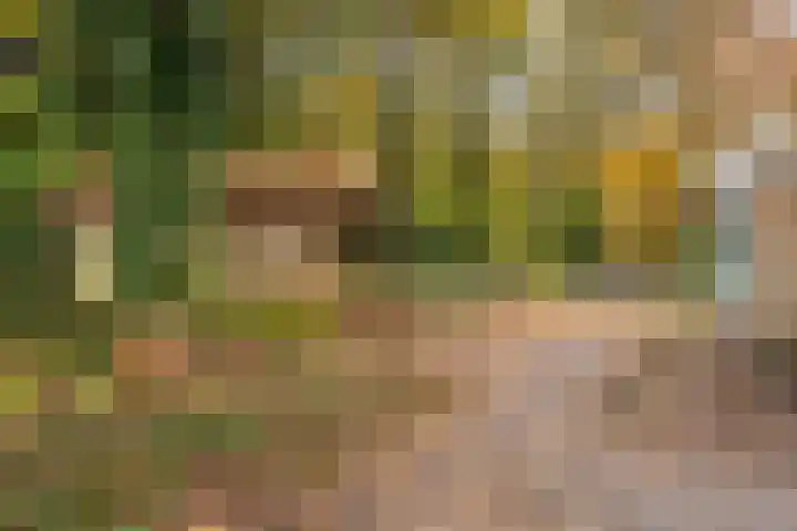 De Breistroeken 13 Nieuw-Balinge thumbnail 28
