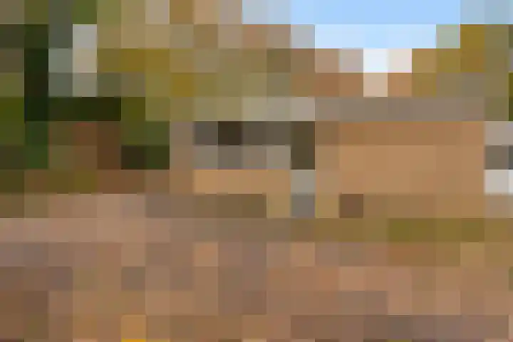 De Breistroeken 13 Nieuw-Balinge thumbnail 29