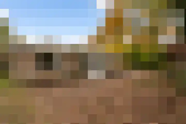 De Breistroeken 13 Nieuw-Balinge thumbnail 30