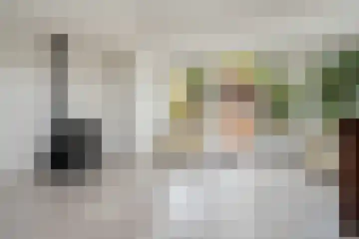 De Breistroeken 13 Nieuw-Balinge thumbnail 5