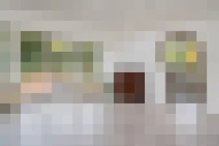 De Breistroeken 13 Nieuw-Balinge thumbnail 6