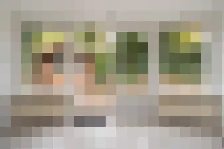 De Breistroeken 13 Nieuw-Balinge thumbnail 7