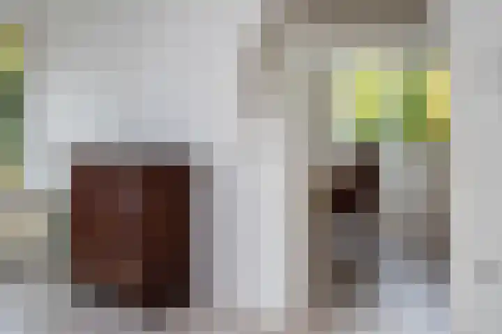 De Breistroeken 13 Nieuw-Balinge thumbnail 8
