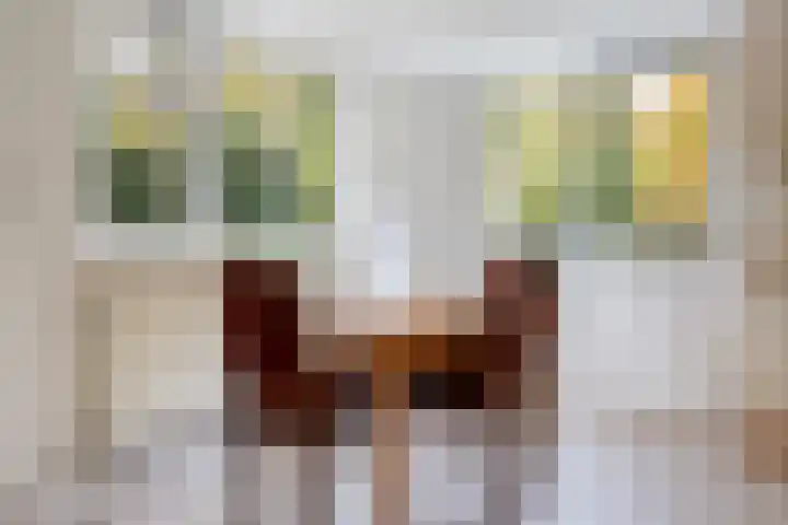De Breistroeken 13 Nieuw-Balinge thumbnail 9