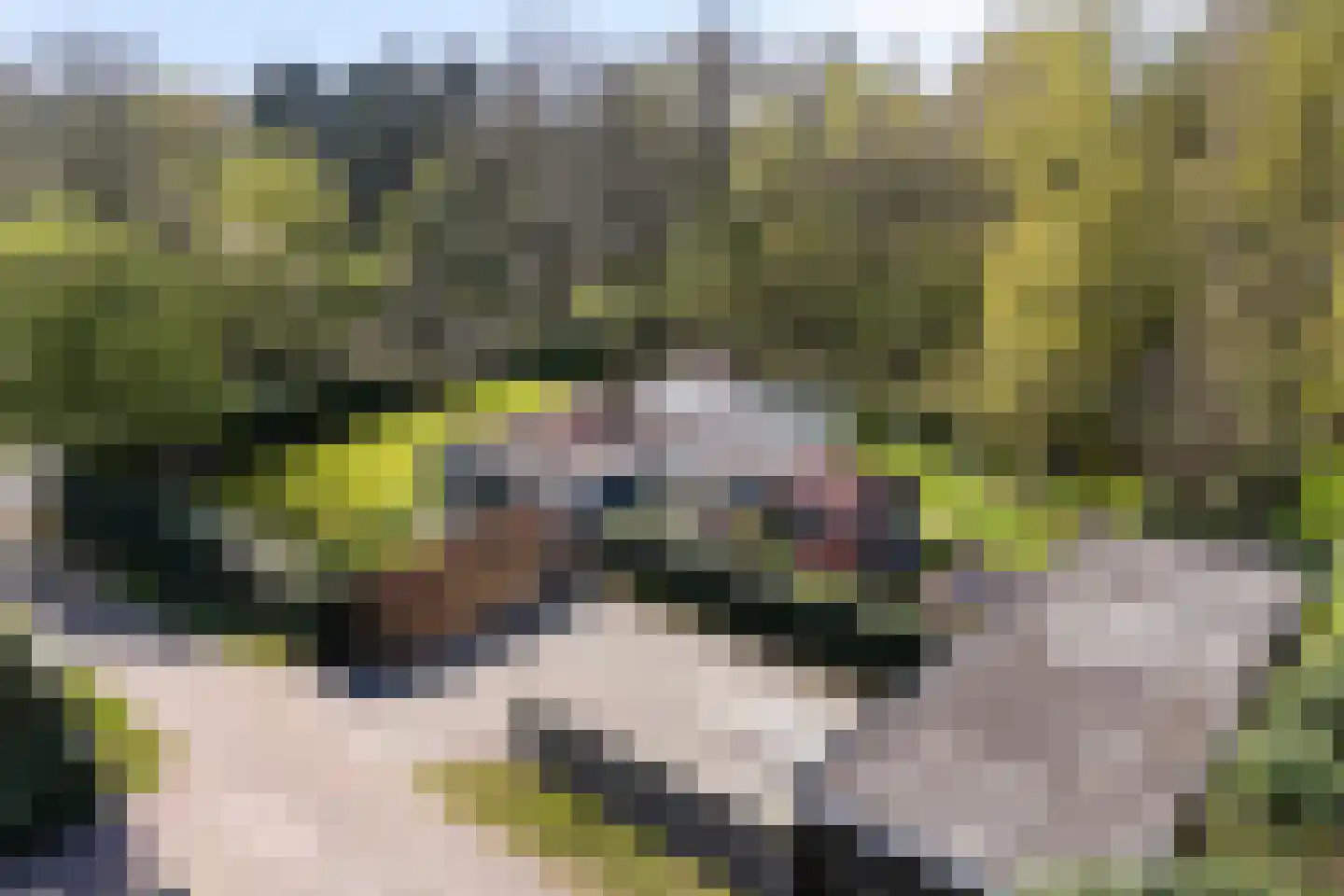 De Breistroeken 18 Nieuw-Balinge