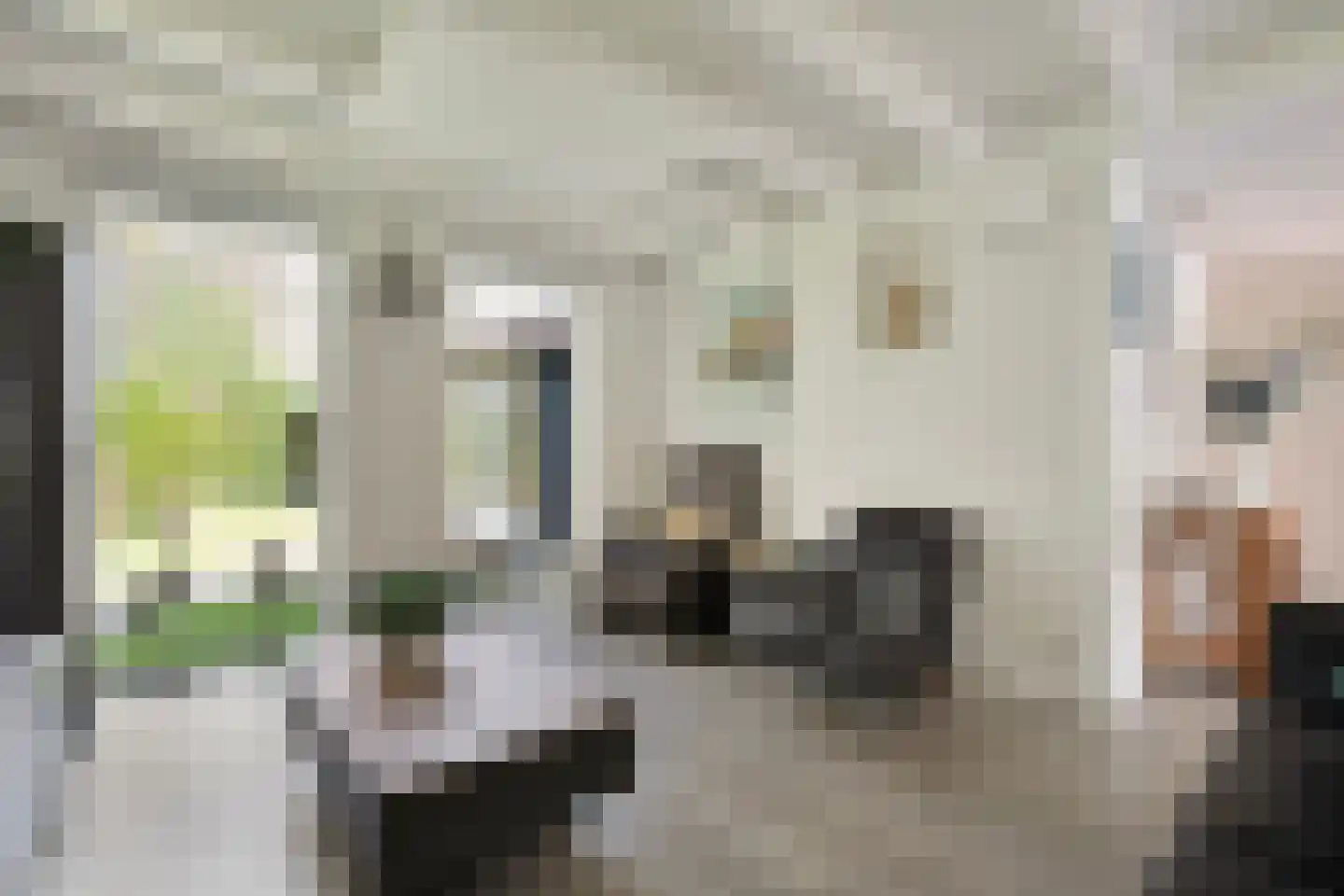 De Breistroeken 18 Nieuw-Balinge thumbnail 12