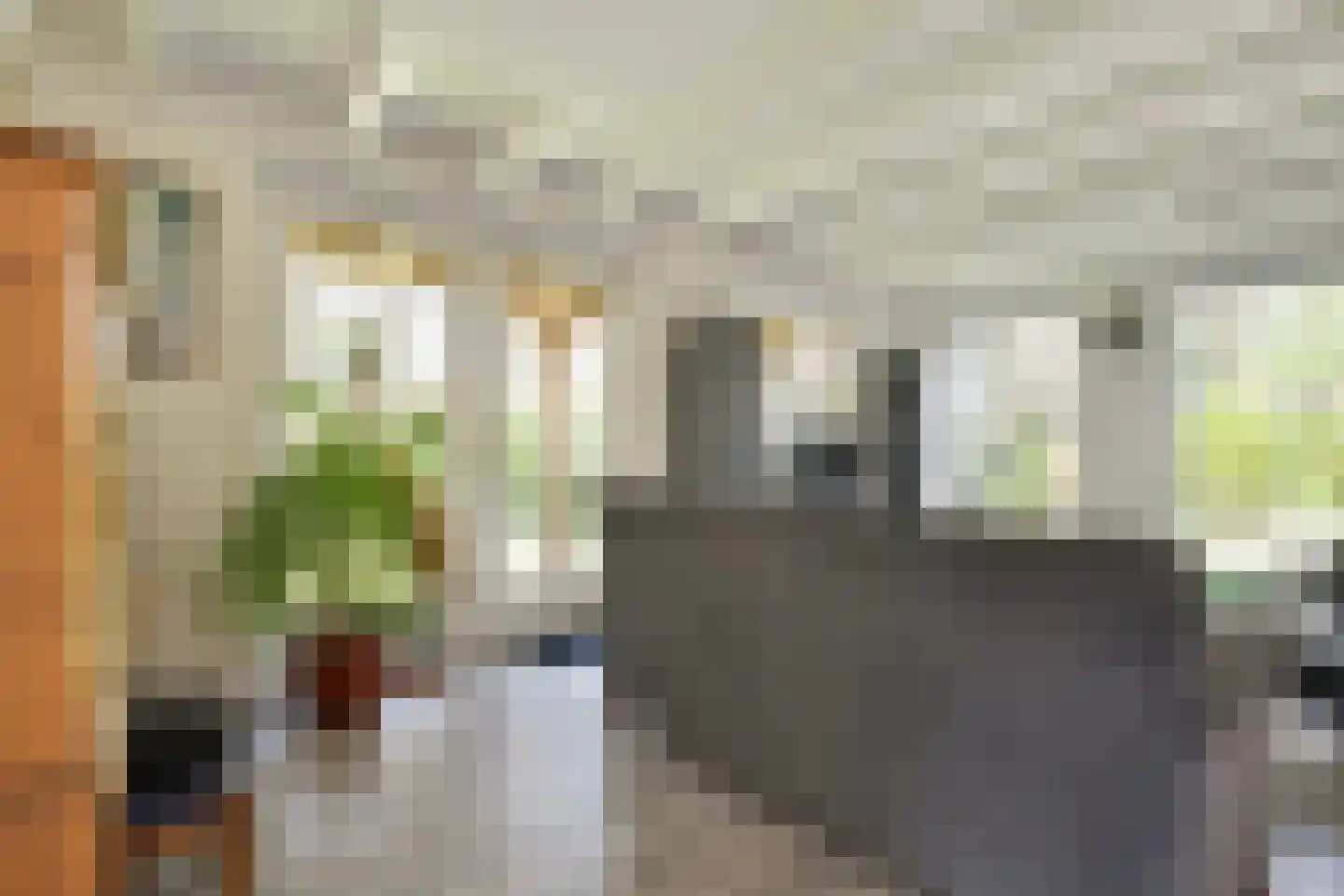 De Breistroeken 18 Nieuw-Balinge thumbnail 13