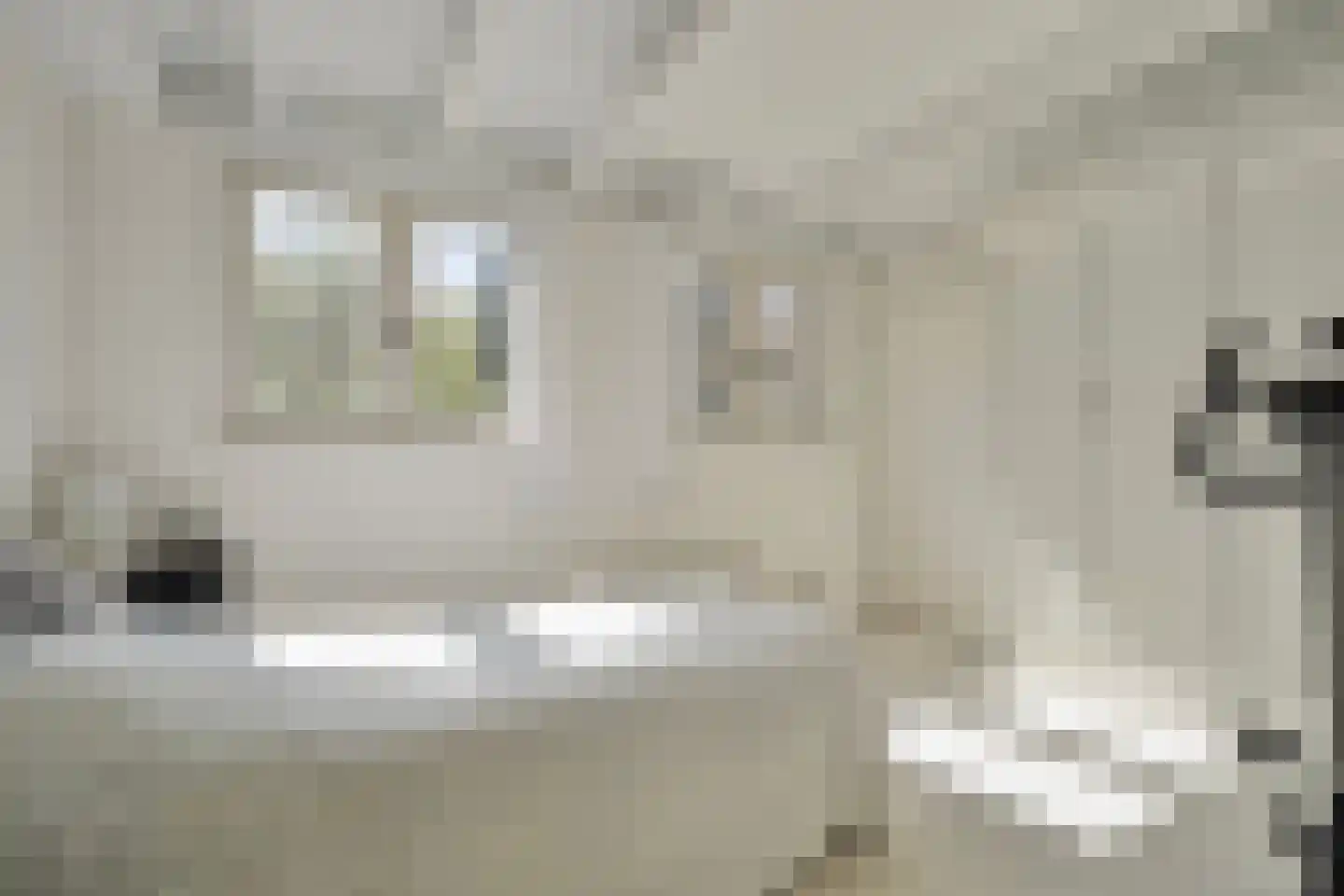 De Breistroeken 18 Nieuw-Balinge thumbnail 24