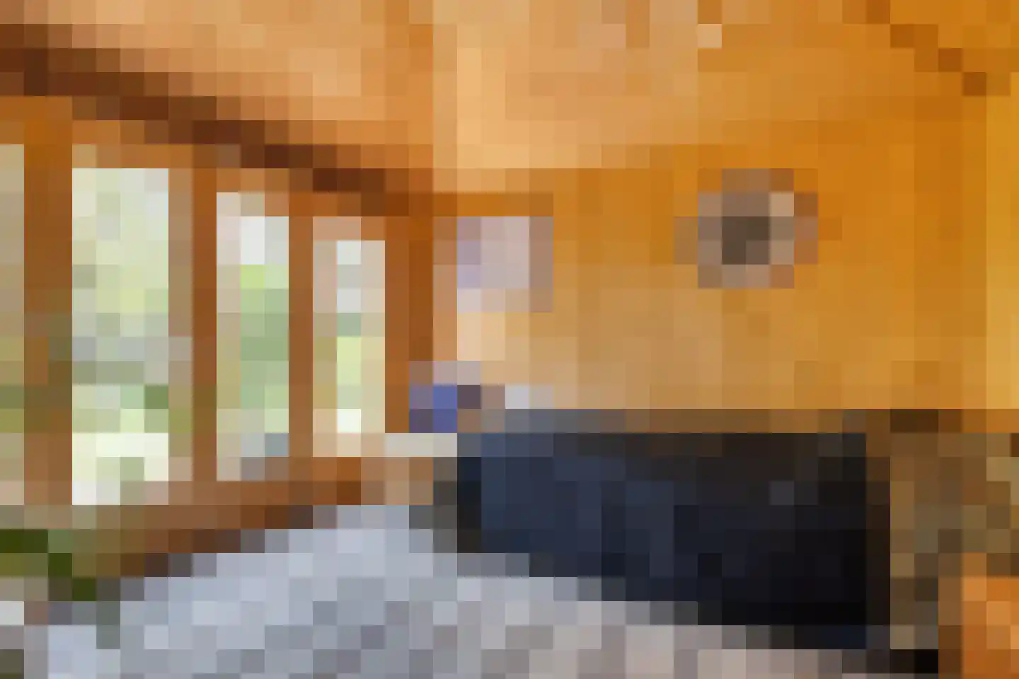 De Breistroeken 18 Nieuw-Balinge thumbnail 29