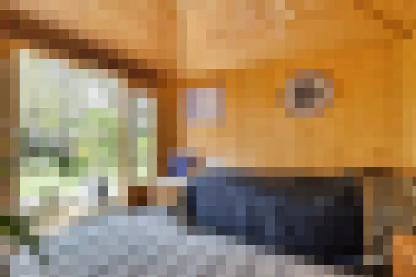 De Breistroeken 18 Nieuw-Balinge thumbnail 30