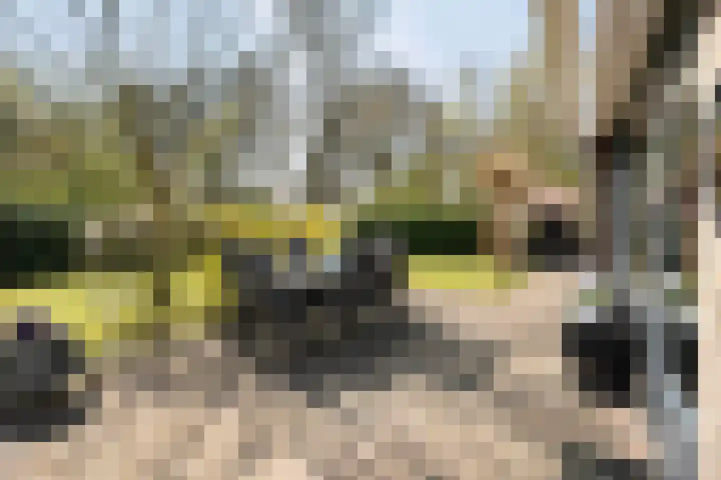 De Breistroeken 18 Nieuw-Balinge thumbnail 35