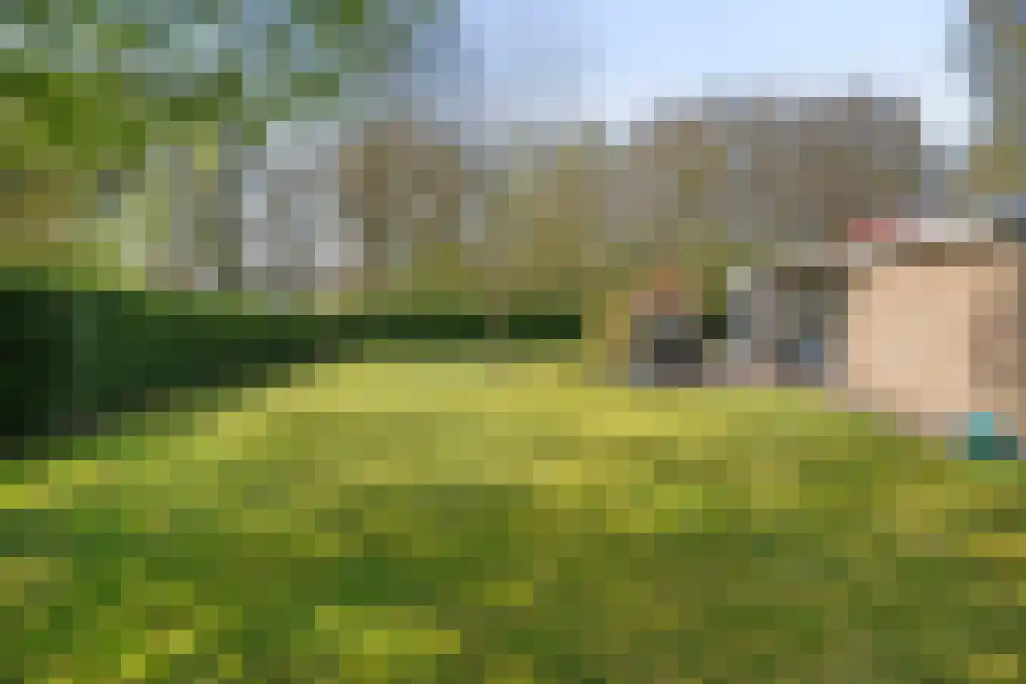 De Breistroeken 18 Nieuw-Balinge thumbnail 37
