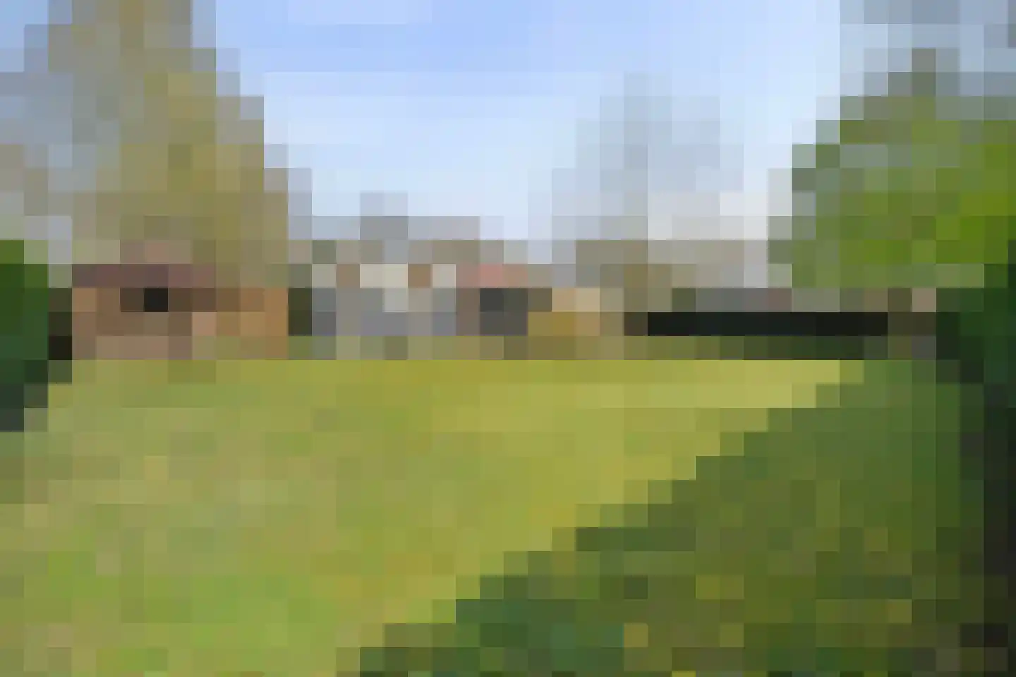 De Breistroeken 18 Nieuw-Balinge thumbnail 39