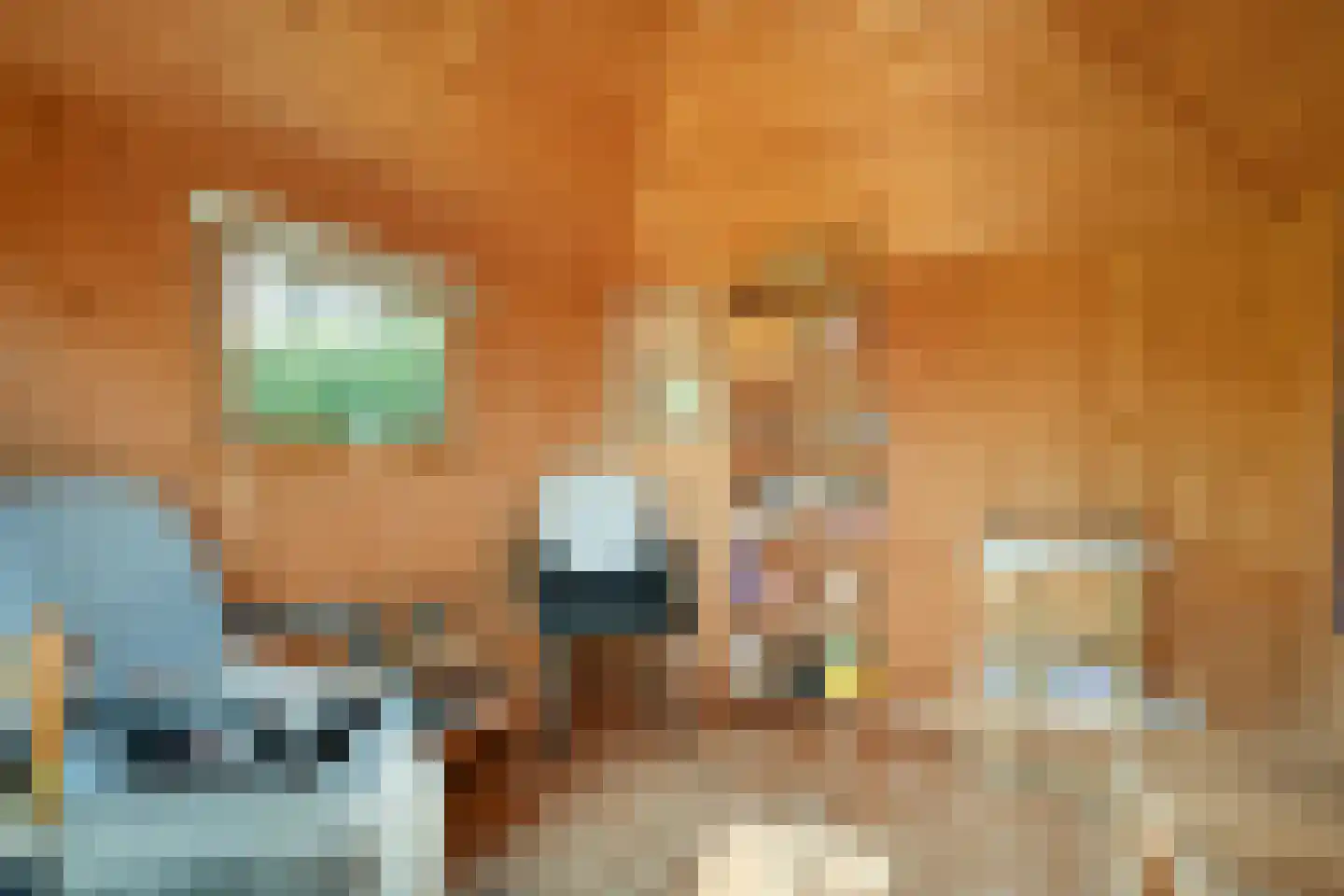 De Breistroeken 18 Nieuw-Balinge thumbnail 41