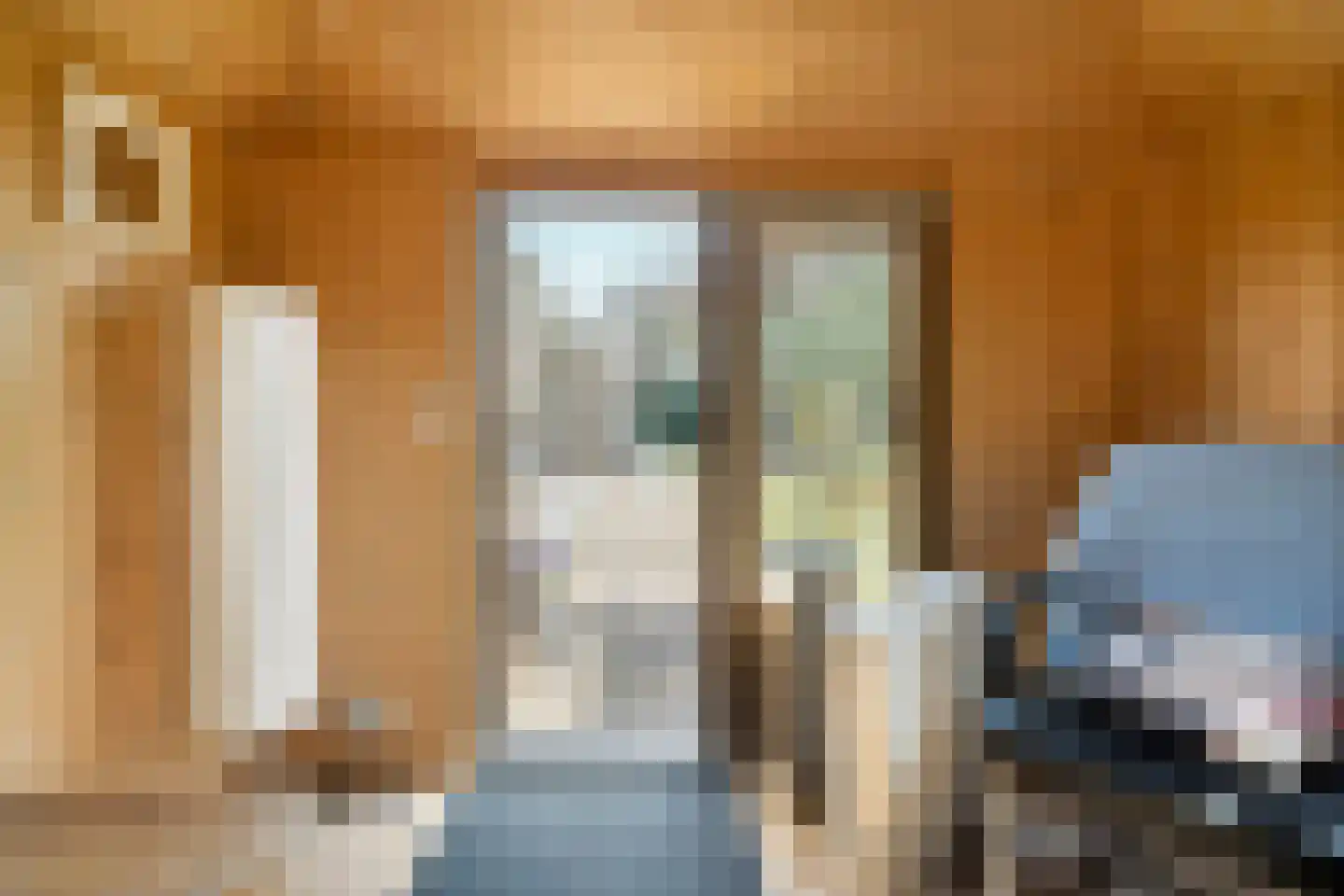 De Breistroeken 18 Nieuw-Balinge thumbnail 42
