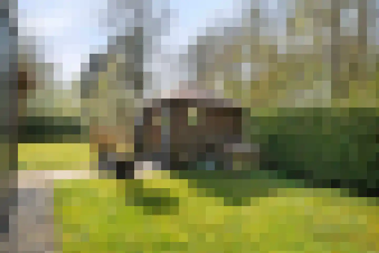 De Breistroeken 18 Nieuw-Balinge thumbnail 43