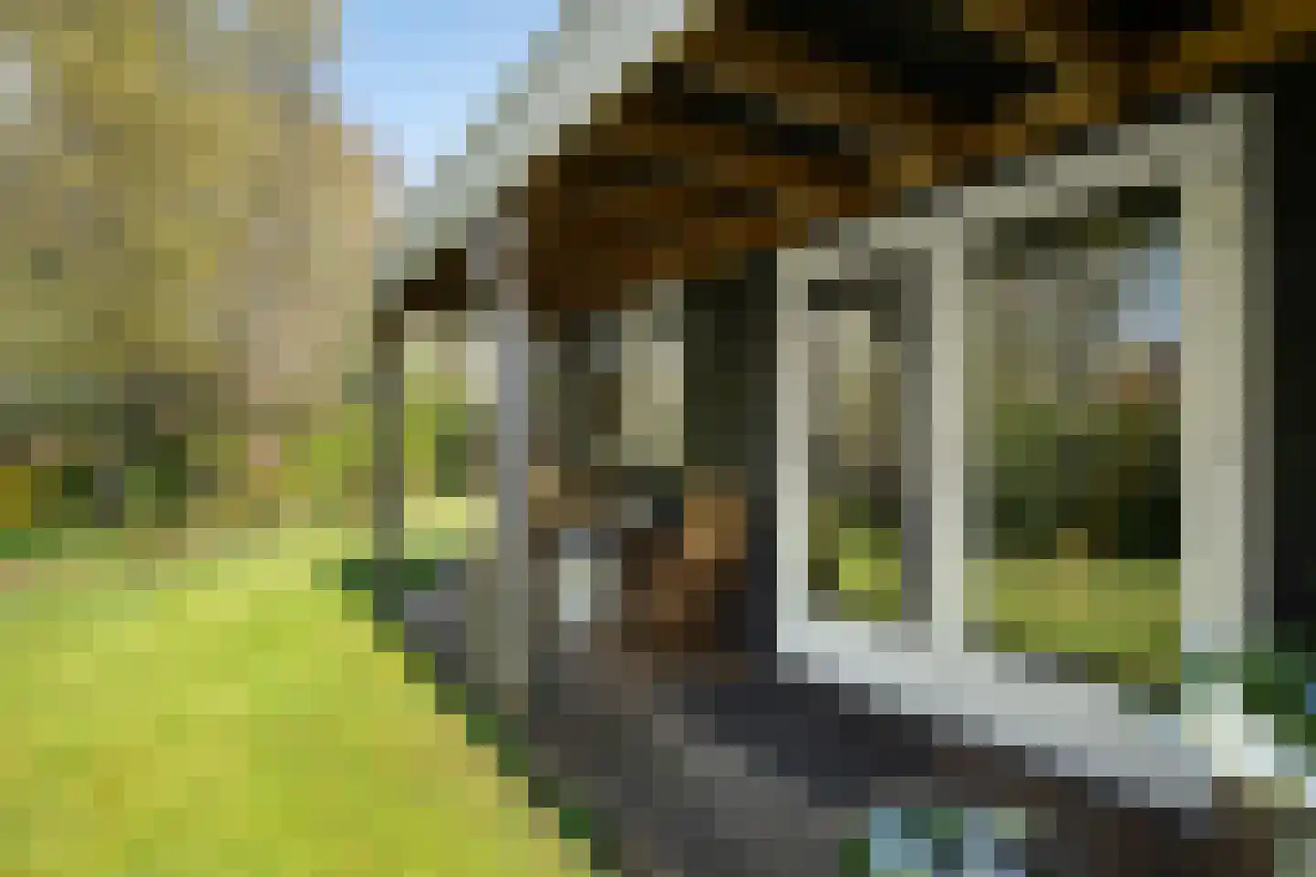 De Breistroeken 18 Nieuw-Balinge thumbnail 44