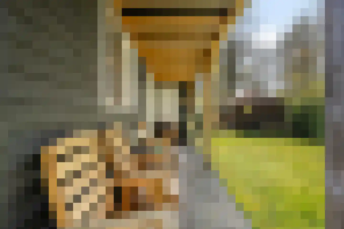 De Breistroeken 18 Nieuw-Balinge thumbnail 45
