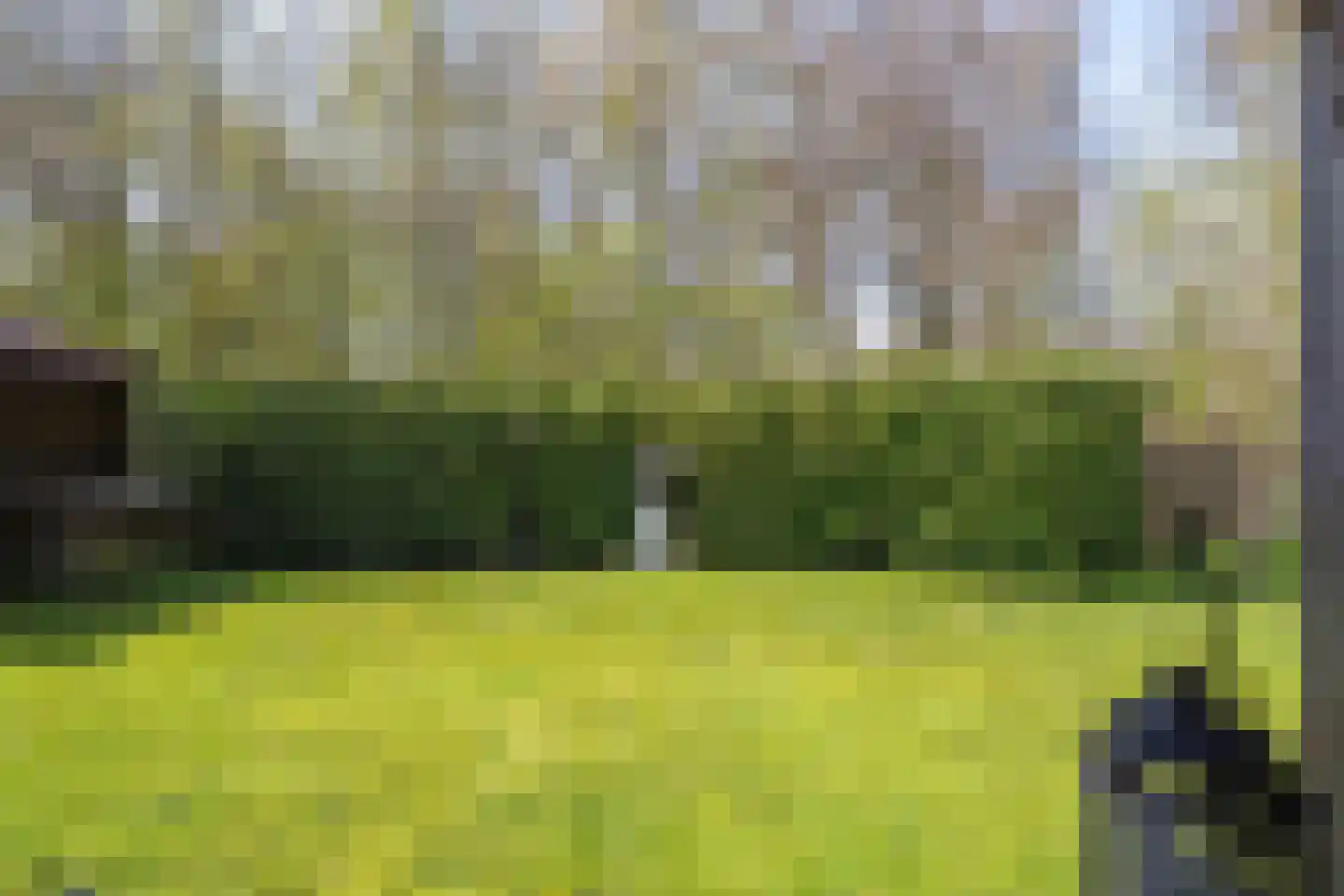 De Breistroeken 18 Nieuw-Balinge thumbnail 47