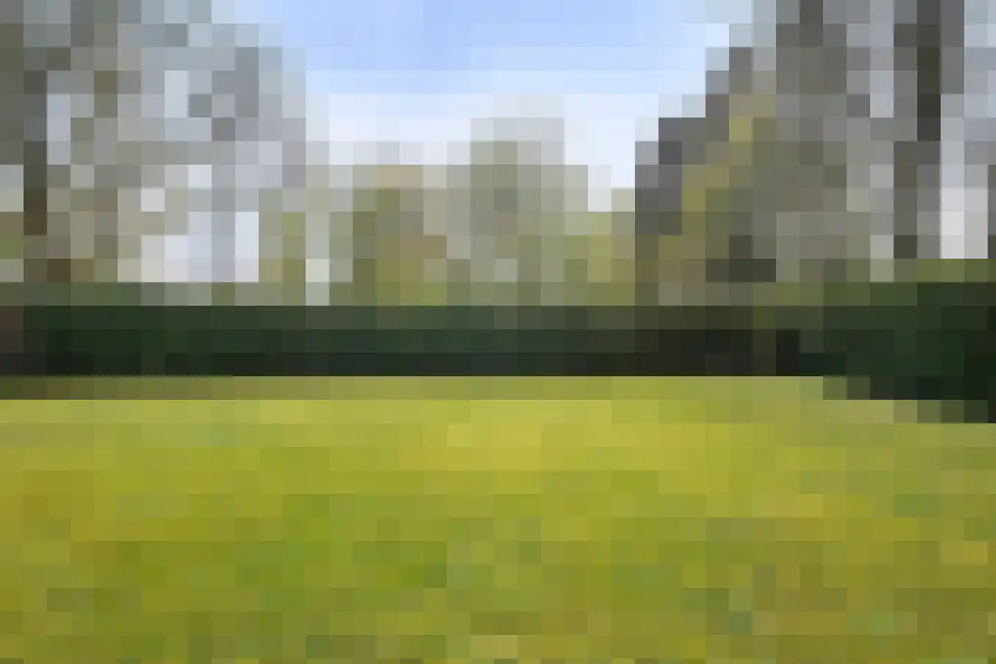 De Breistroeken 18 Nieuw-Balinge thumbnail 48