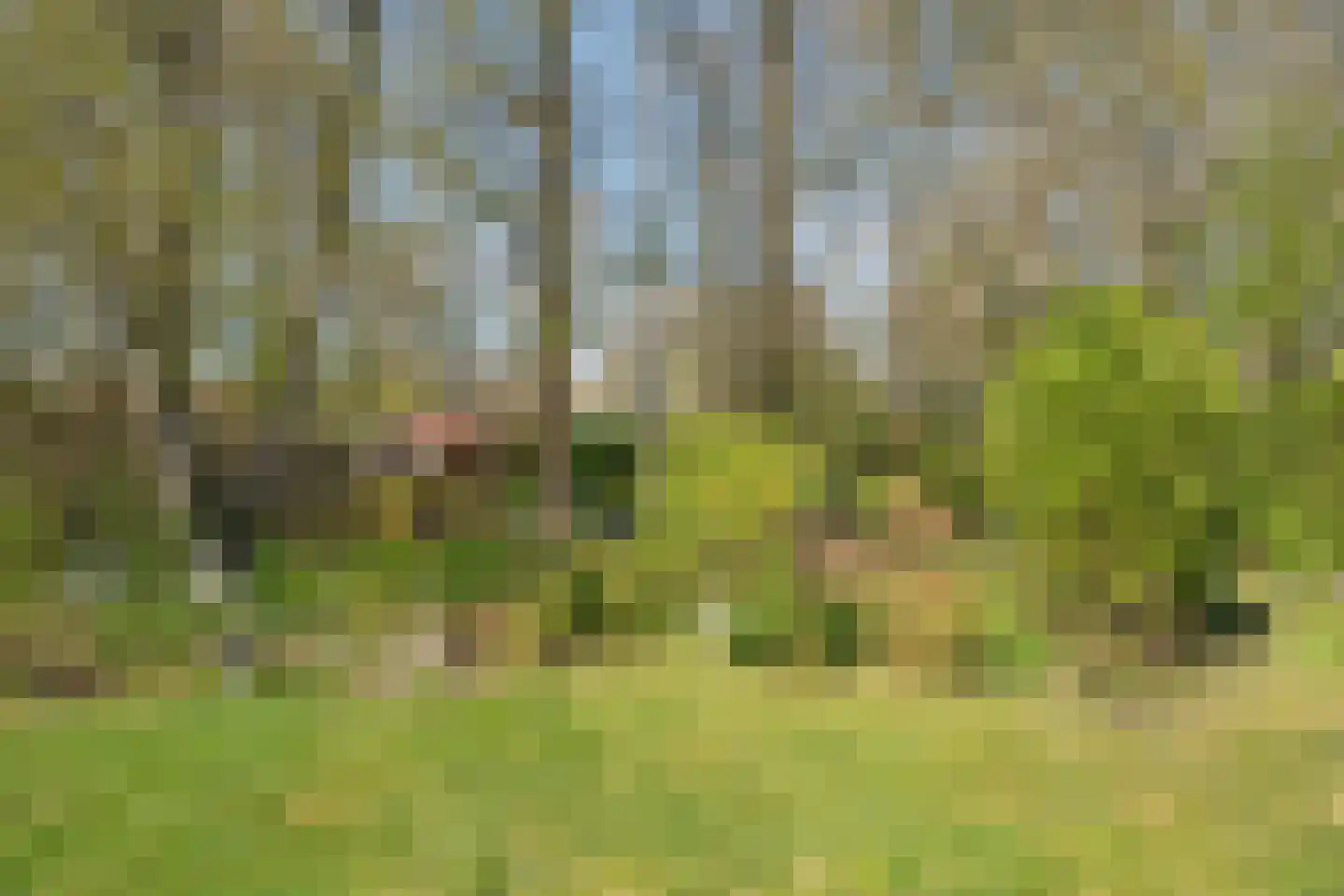 De Breistroeken 18 Nieuw-Balinge thumbnail 49