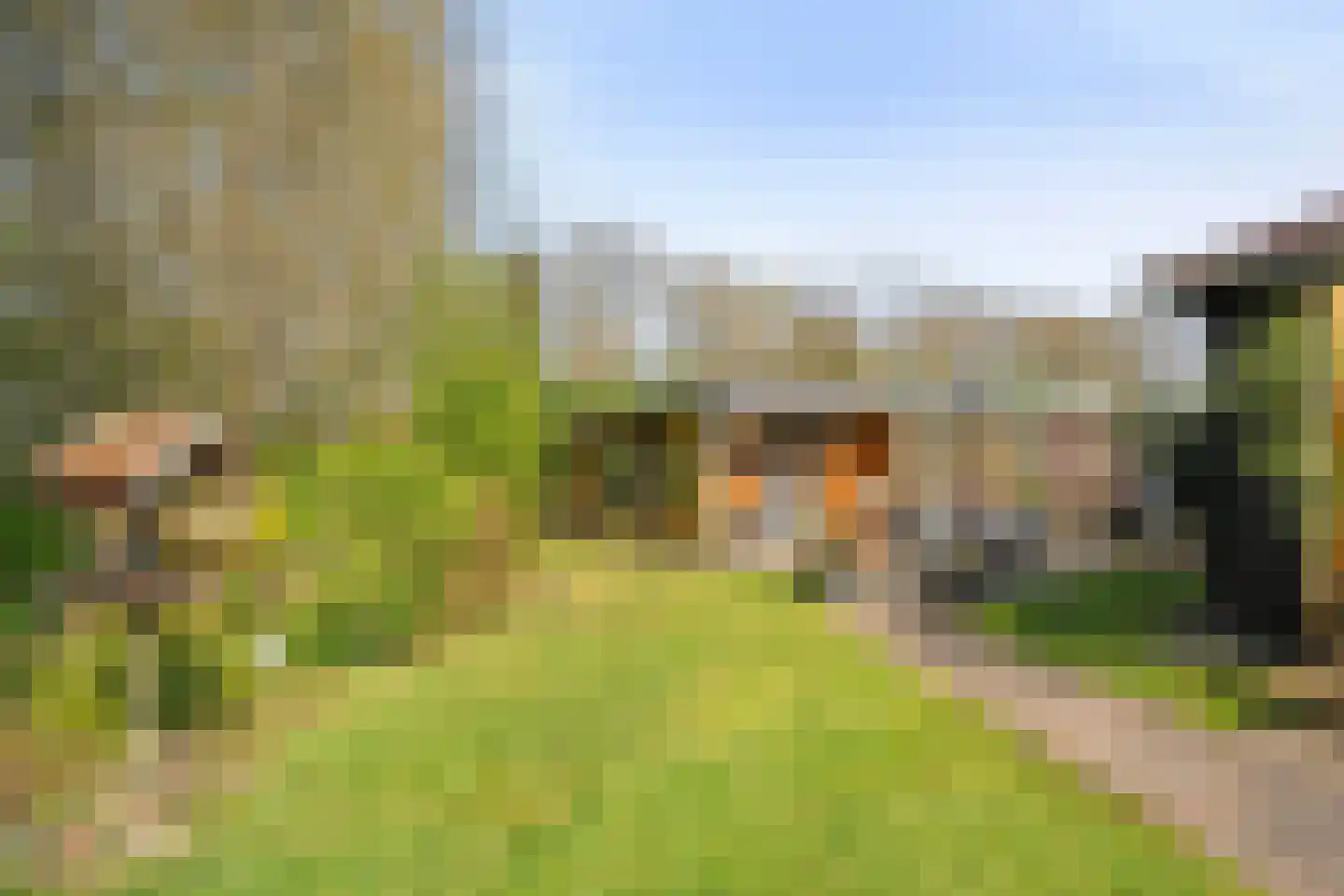 De Breistroeken 18 Nieuw-Balinge thumbnail 50