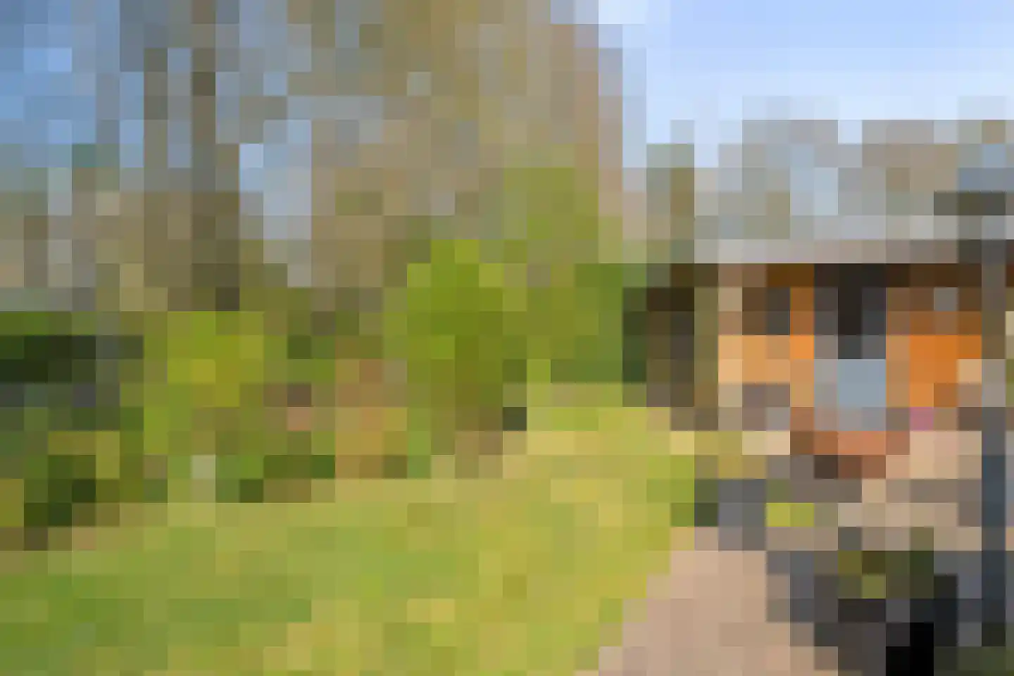 De Breistroeken 18 Nieuw-Balinge thumbnail 51