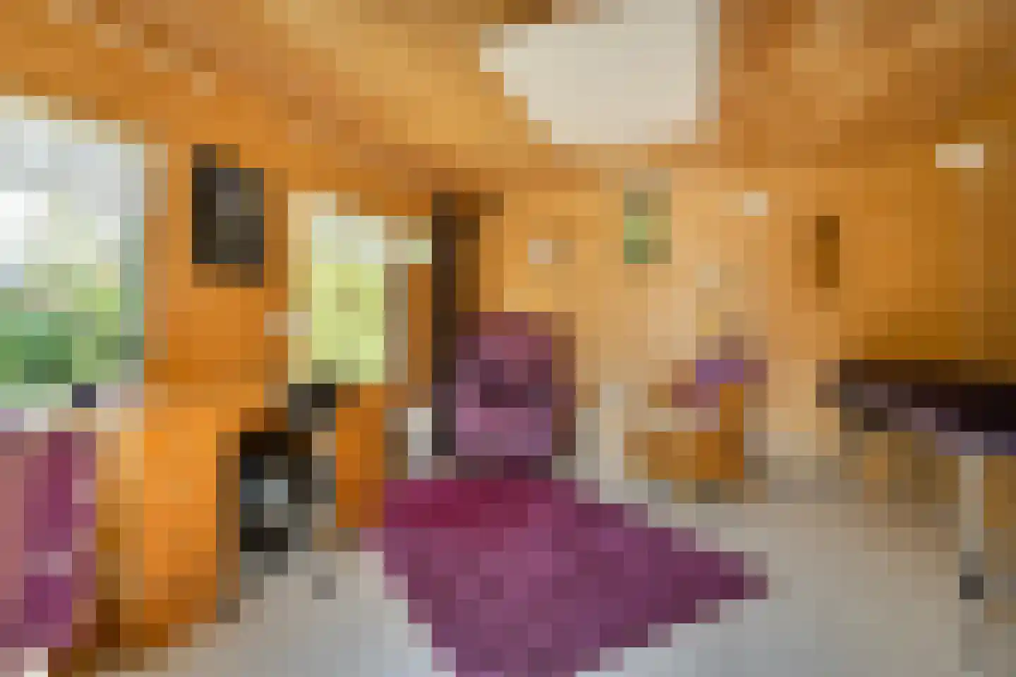 De Breistroeken 18 Nieuw-Balinge thumbnail 52
