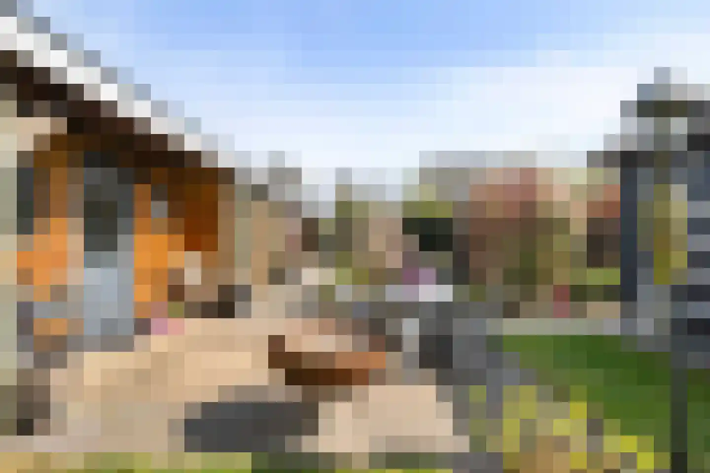 De Breistroeken 18 Nieuw-Balinge thumbnail 54