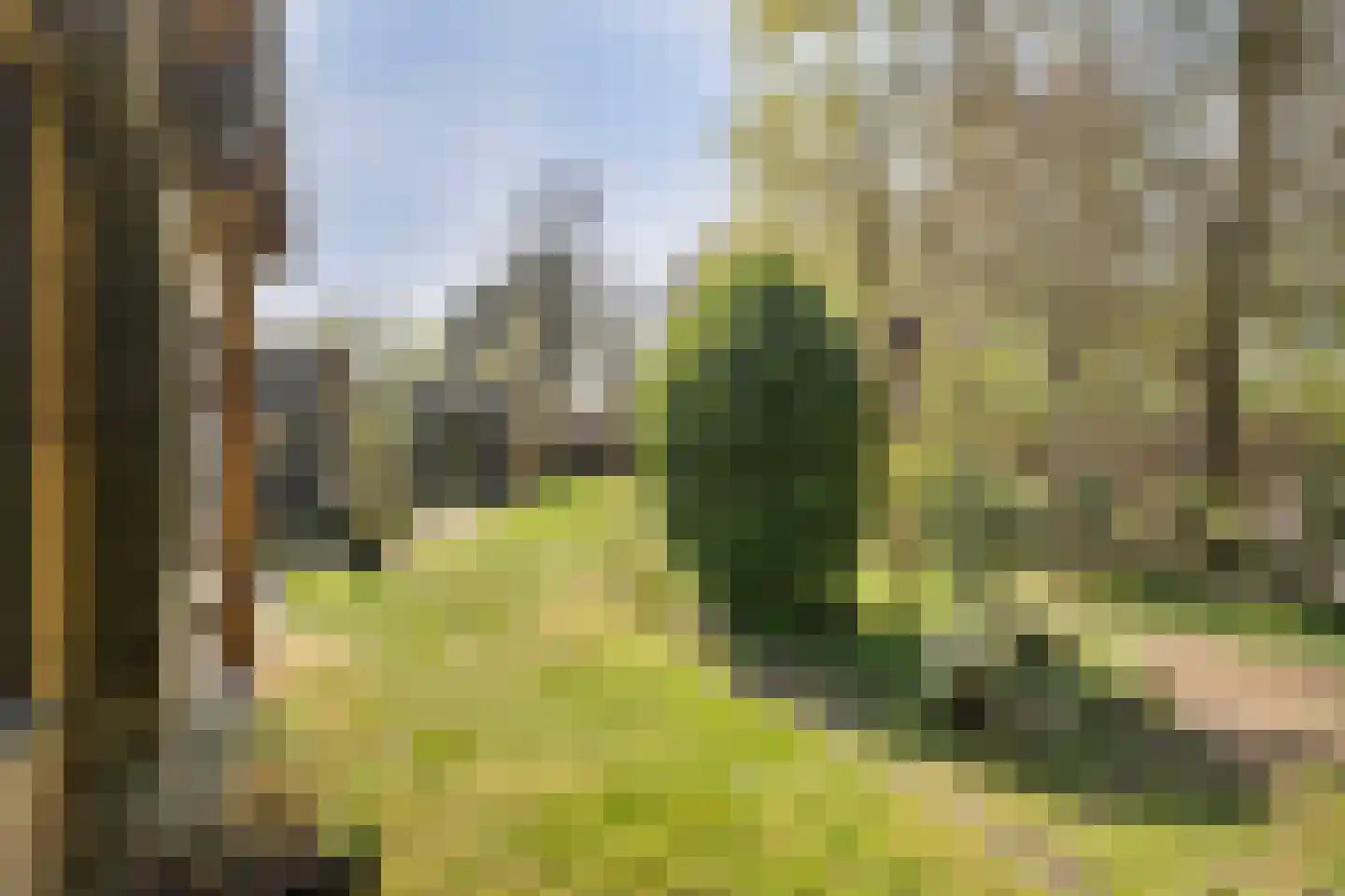 De Breistroeken 18 Nieuw-Balinge thumbnail 56