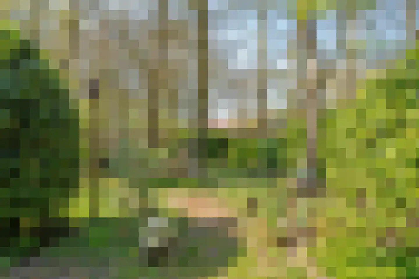 De Breistroeken 18 Nieuw-Balinge thumbnail 57