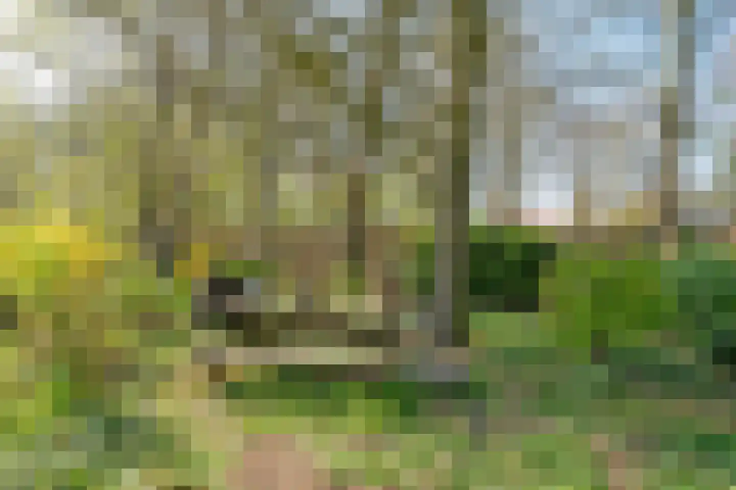 De Breistroeken 18 Nieuw-Balinge thumbnail 58