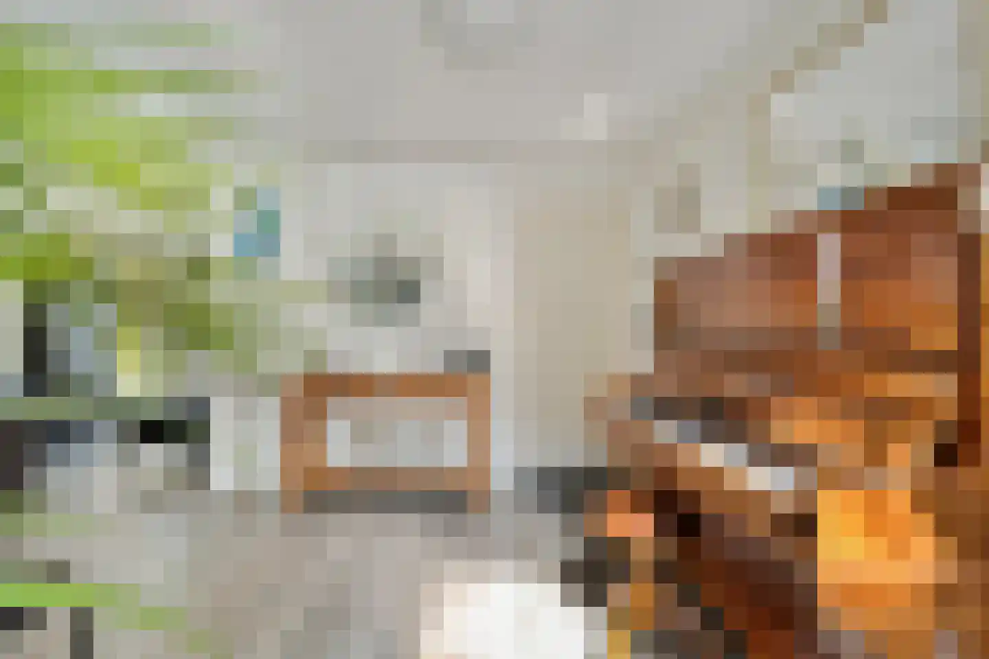 De Breistroeken 18 Nieuw-Balinge thumbnail 6