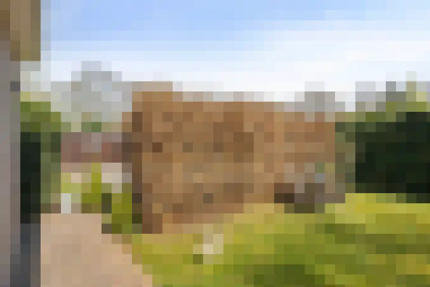 De Breistroeken 18 Nieuw-Balinge thumbnail 62